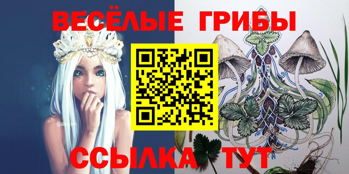 Метадон Лосино-Петровский