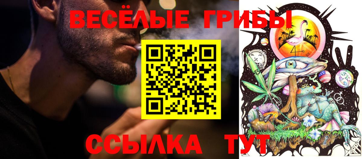 Галлюциногенные грибы мухоморы Лосино-Петровский