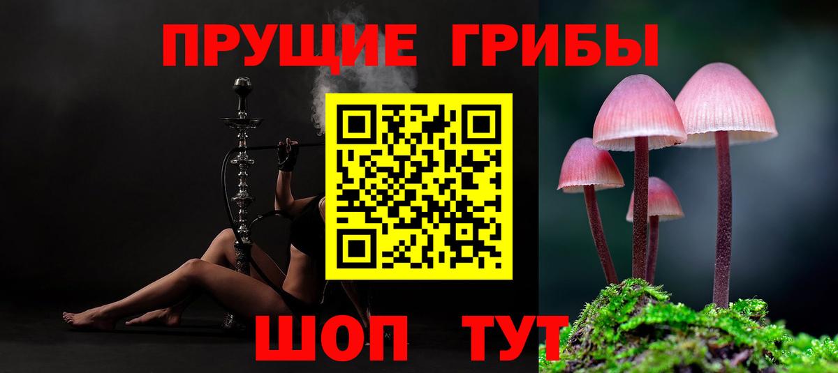 Псилоцибиновые грибы ЛСД  Галлюциногенные грибы мухоморы  Лосино-Петровский  где найти   Вход с VPN 
